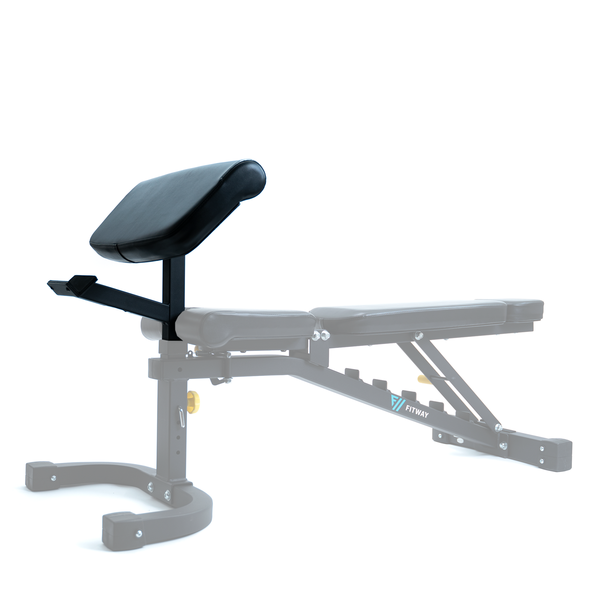 Fid bench with preacher curl sale